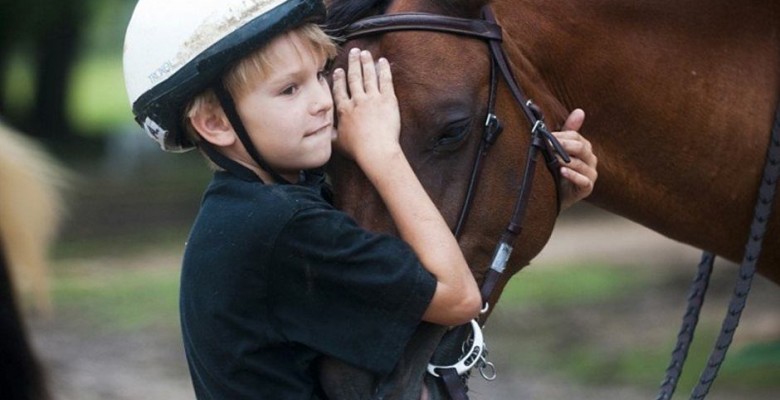 1295785794_horse008_2