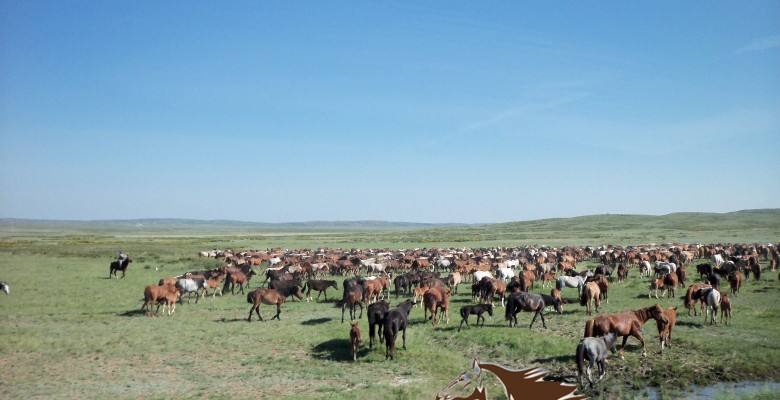 uyirli-zhylhky
