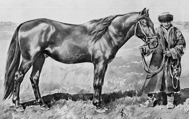 kula-zhorga