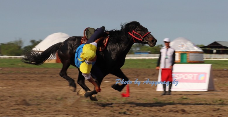 Zhastar11
