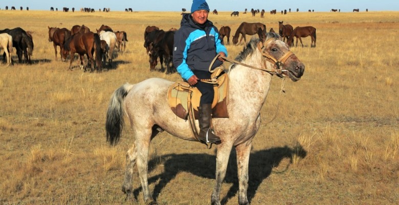 Satbyek koke