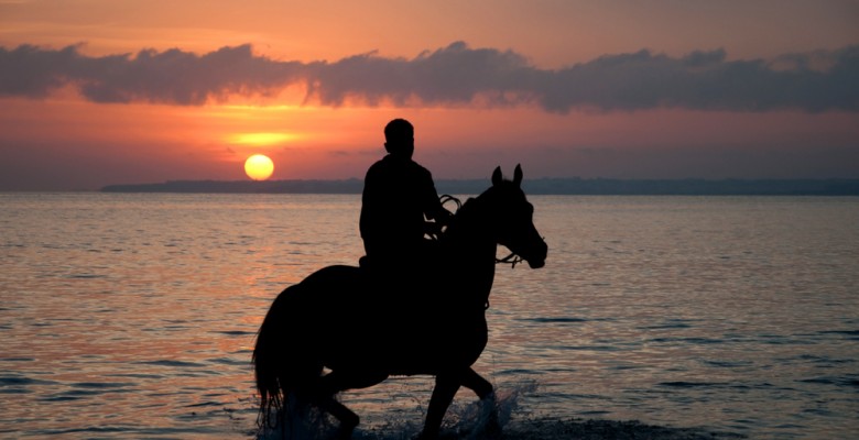 Horse riding at dusk