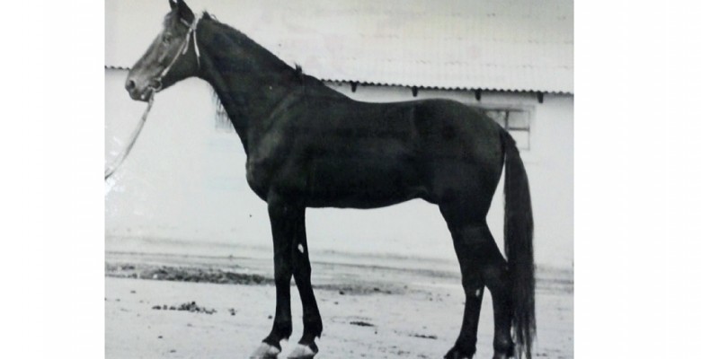 Samolet1