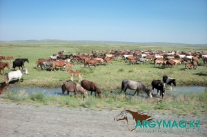 Көрпенің астына түсірілген порно