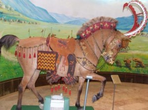 Порно транс Эрика