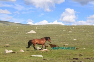 Порно сәбилер киска