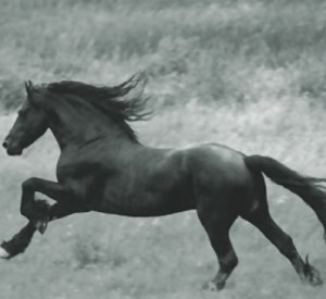 Ол тәжік тілінде порно Минет және жасырын камера