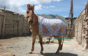 Терең жопы кончил видео