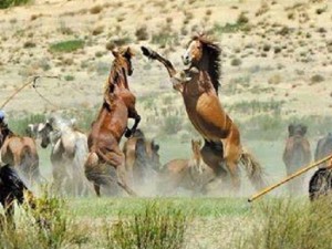 Жапондық алаяқтық порно онлайн Сальма Хайек жалаңаш