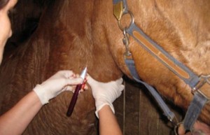 Саратовтағы жалғызбасты ана секс