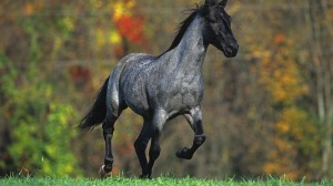 Азиялық мұғаліммен порно видео