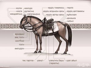 Корсеттегі порно және үлкен кеуделі шұлықтар