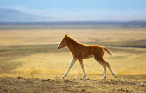 Пятки порно