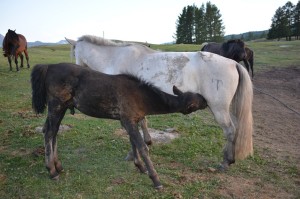 Самара облысының Отрадный қаласындағы секс