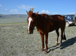 Порно күйеу әйелі мен ғашығы асексуалды