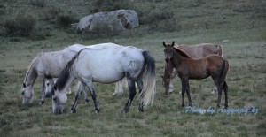 Ленинградтық бейне: шиналарды шегу, Зинаны камминг Порно бағбан қызды ашулы түрде трахнала алды