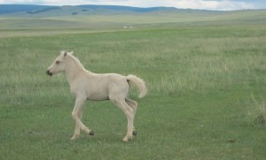 Мүмкін Row порно