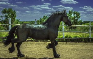 Ол оның сиськи арасына оның мүшесі енгізілді және бастады