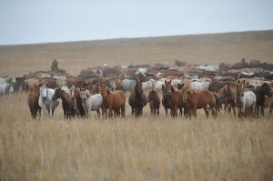 Қынаптағы бильярд шарлары Жыныс мүшесін жұлып алған ер адамның суреті