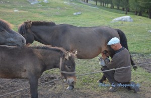 Руслана Лызычконың жабайы билері порно фото секс Дәліздегі секс туралы эротикалық фильмдер