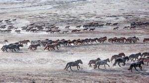 Порно онлайн көру: Ағай қонаққа келді