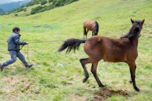 Дәретхана қабырғасында жыныстық қатынас