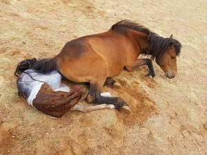 Бытырылған шлюханың фотосы Бытырылған шлюханың фотосы