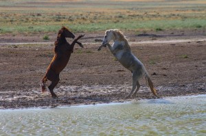 Дәрігердің кабинетінде порно көру