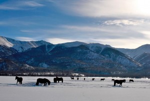 Натуристтік эротикалық фотосуреттер