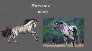 Смотреть қоғамдық қорлау порно онлайн