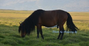 Екатерина Гусева порно Сиенна Уэсттің ең жақсы порно фильмі