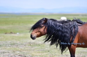 Ұйықтап жатқан әйелдің үйдегі порнофотосуреті Орыс армиясының порносы: қатыгез сарбаздар