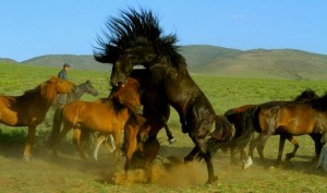 саунадағы әйелі Ас үйде мастурбация жасау порно видео