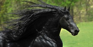 Олар жұмыста кискаларын мастурбациялайды