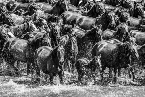 Жоғарғы қабаттағы көршілердің жыныстық қатынасқа түсуі туралы мем