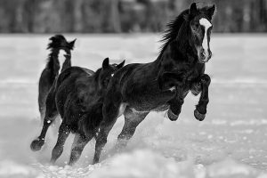 әйел орысша айтқанда жезөкше