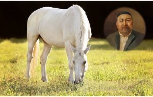 Смотреть американдық эротика videos online