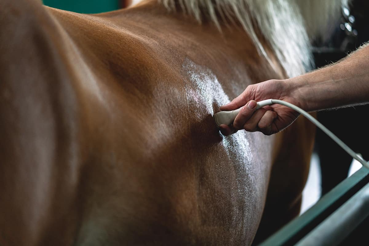 Танымал шетелдік порно сайттар